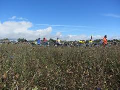 Nantes 2013