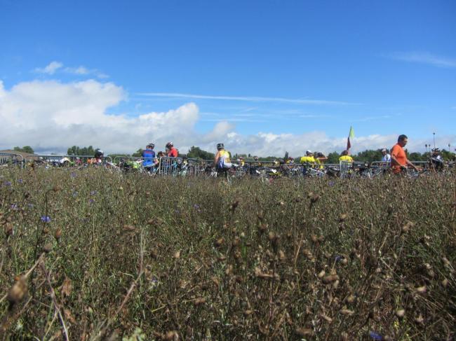 Nantes 2013