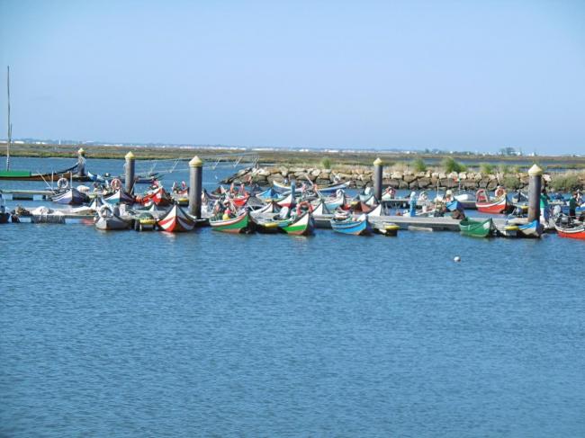 Murtosa Portugal